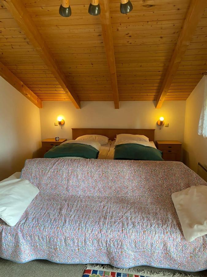 Ferienhaus Im Waldferiendorf Regen Exterior photo